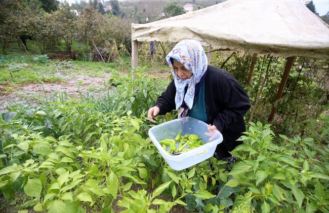 Trabzon'da üretime teşvik için "yöresel ürünler pazarı" kuruldu